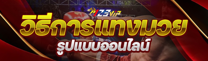 วิธีการแทงมวย รูปแบบออนไลน์